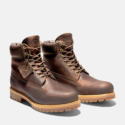 Stivale Timberland 6-Inch da Uomo in Marrone scuro