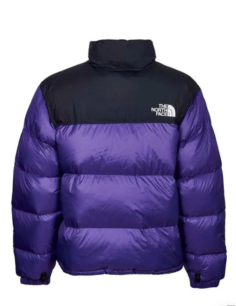 GIUBBINO THE NORTH FACE UOMO - VIOLA