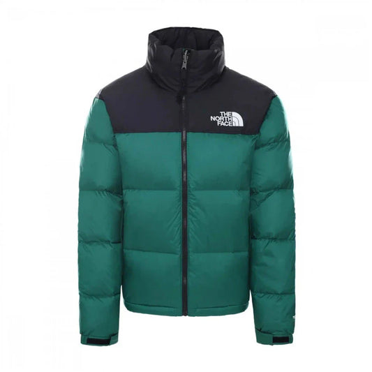 GIUBBINO THE NORTH FACE UOMO - VERDE